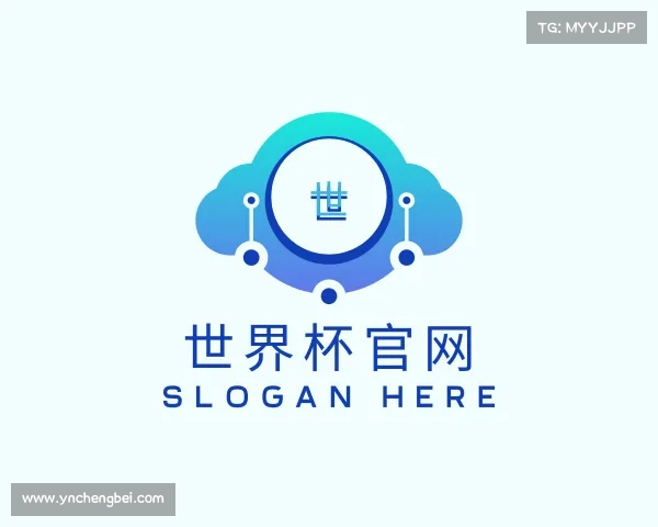 解读世界杯官网